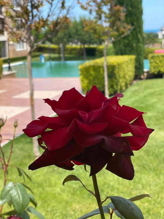 Provence Deluxe Apartment In Atia Resort Tschernomorez Exterior foto